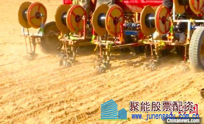 新疆昌吉市：冬小麦复播玉米种植模式促农增收